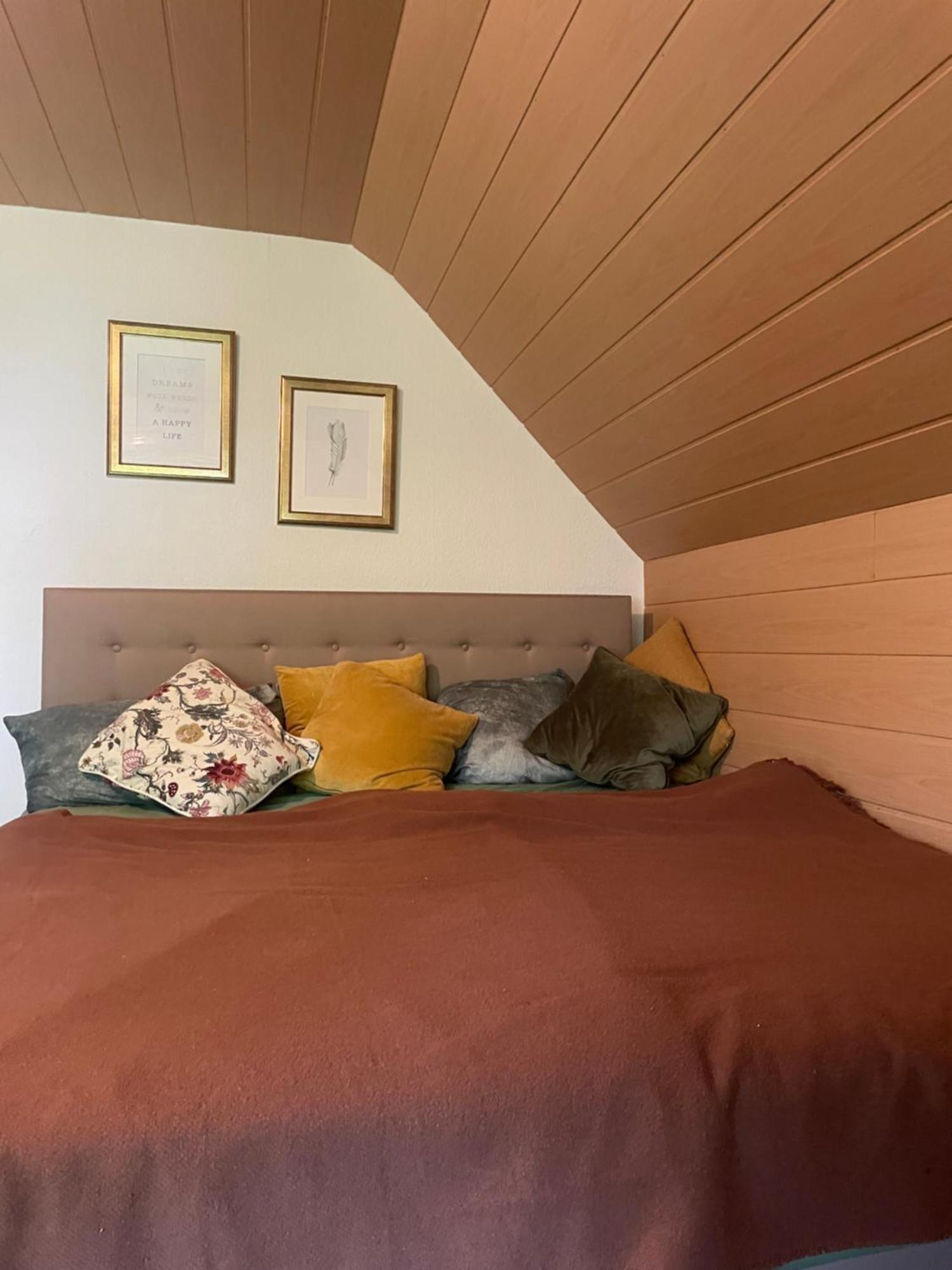 Im Herzen Des Hotzenwalds Apartment Rickenbach (Baden-Wurttemberg)